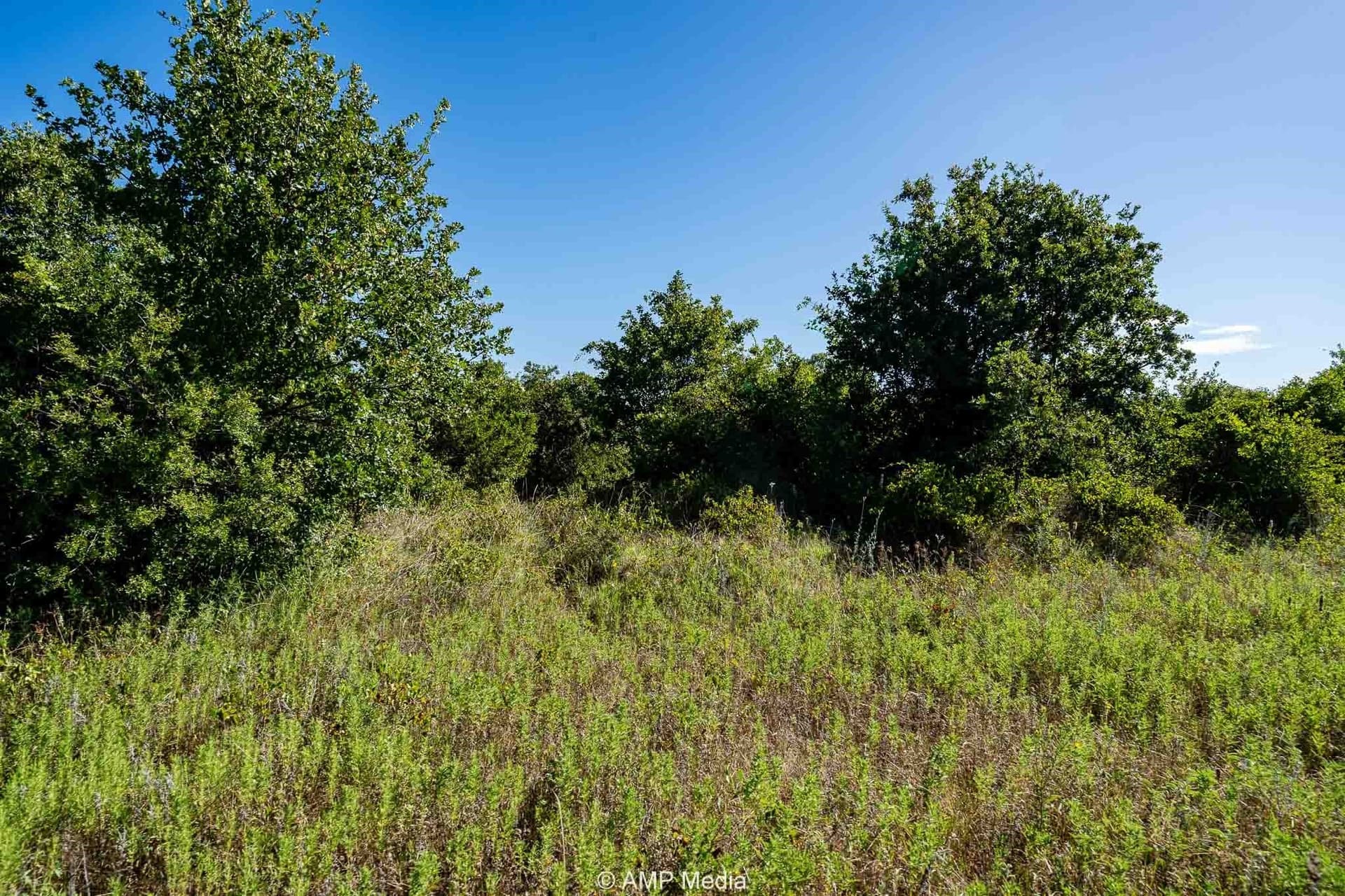 42 acres in Eastland County - photo 8