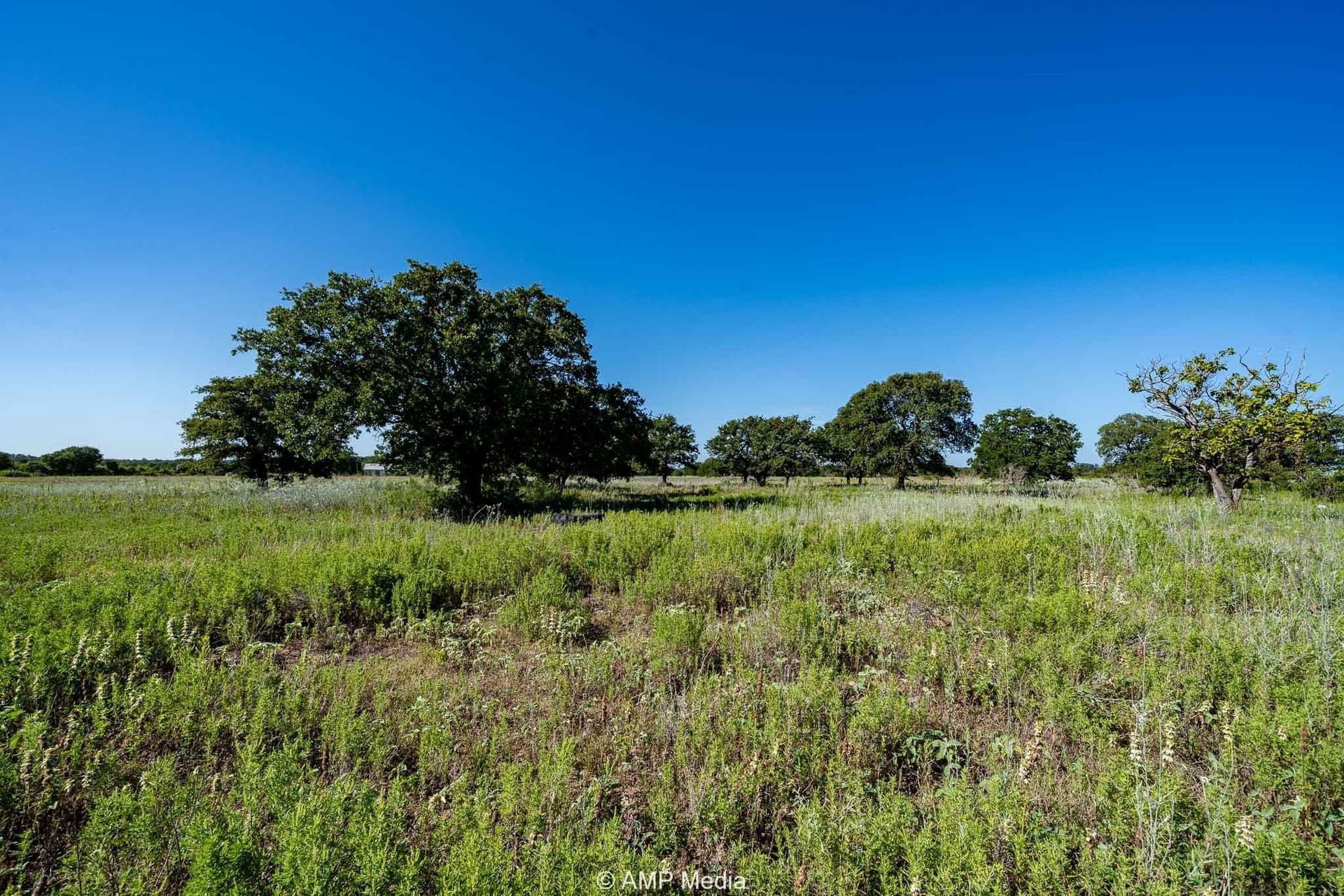 42 acres in Eastland County - photo 5