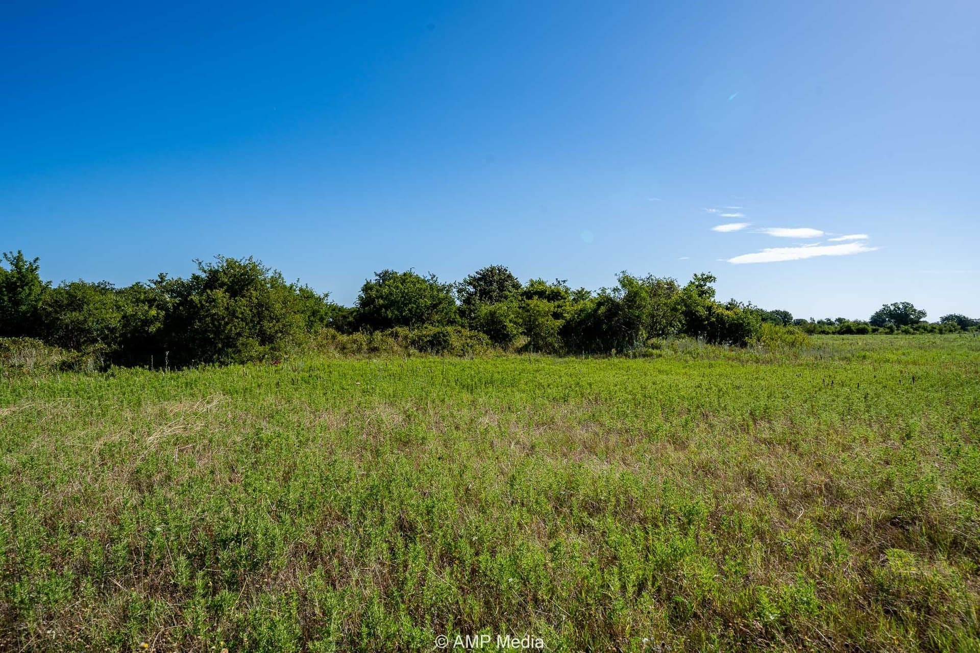 42 acres in Eastland County - photo 7