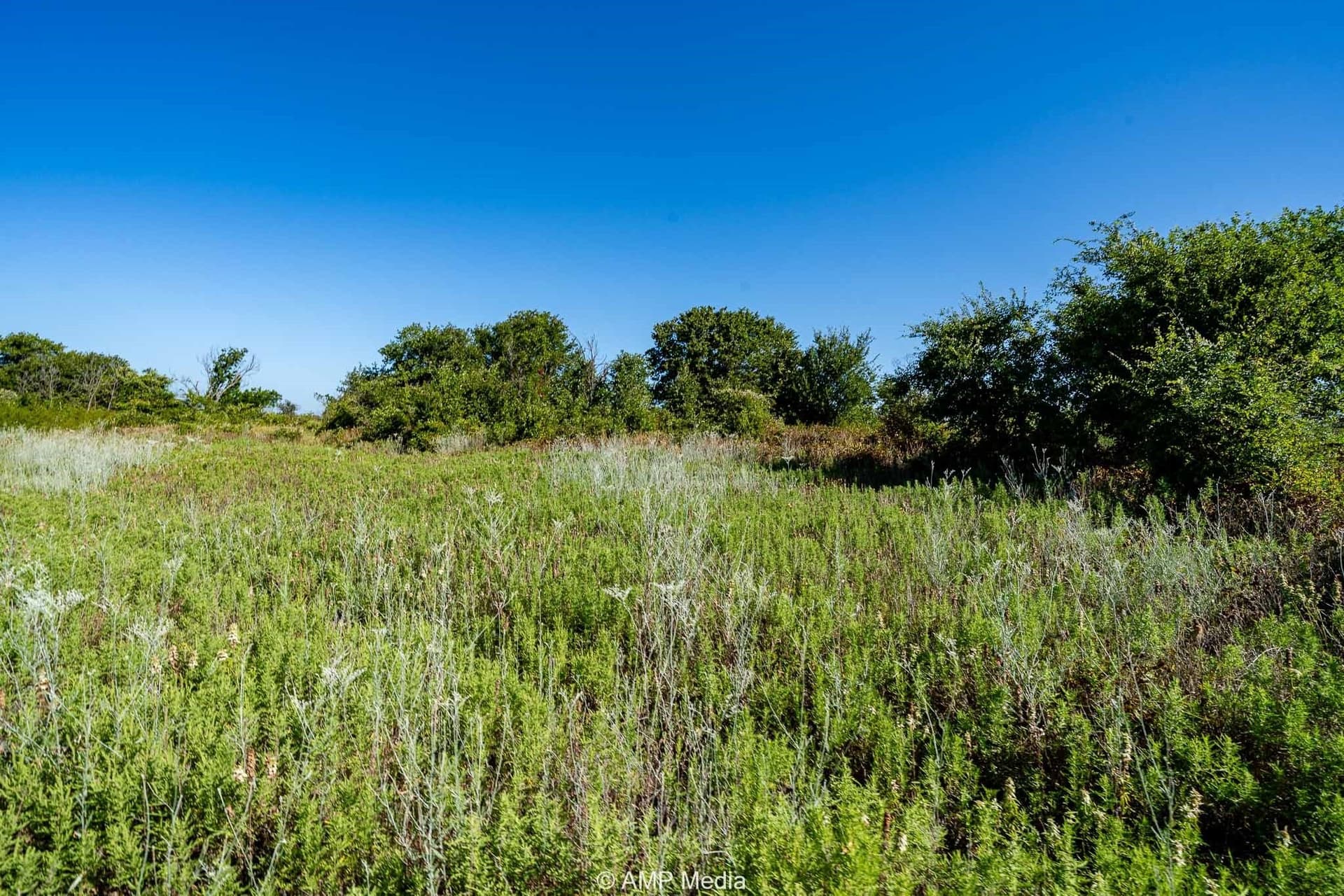 42 acres in Eastland County - photo 4