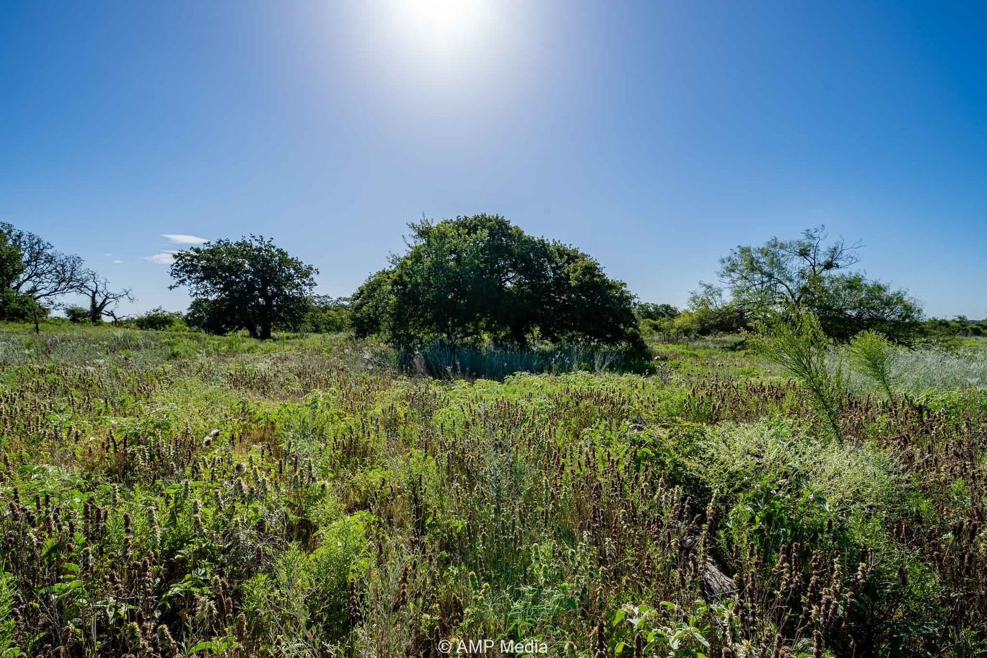 42 acres in Eastland County - photo 3