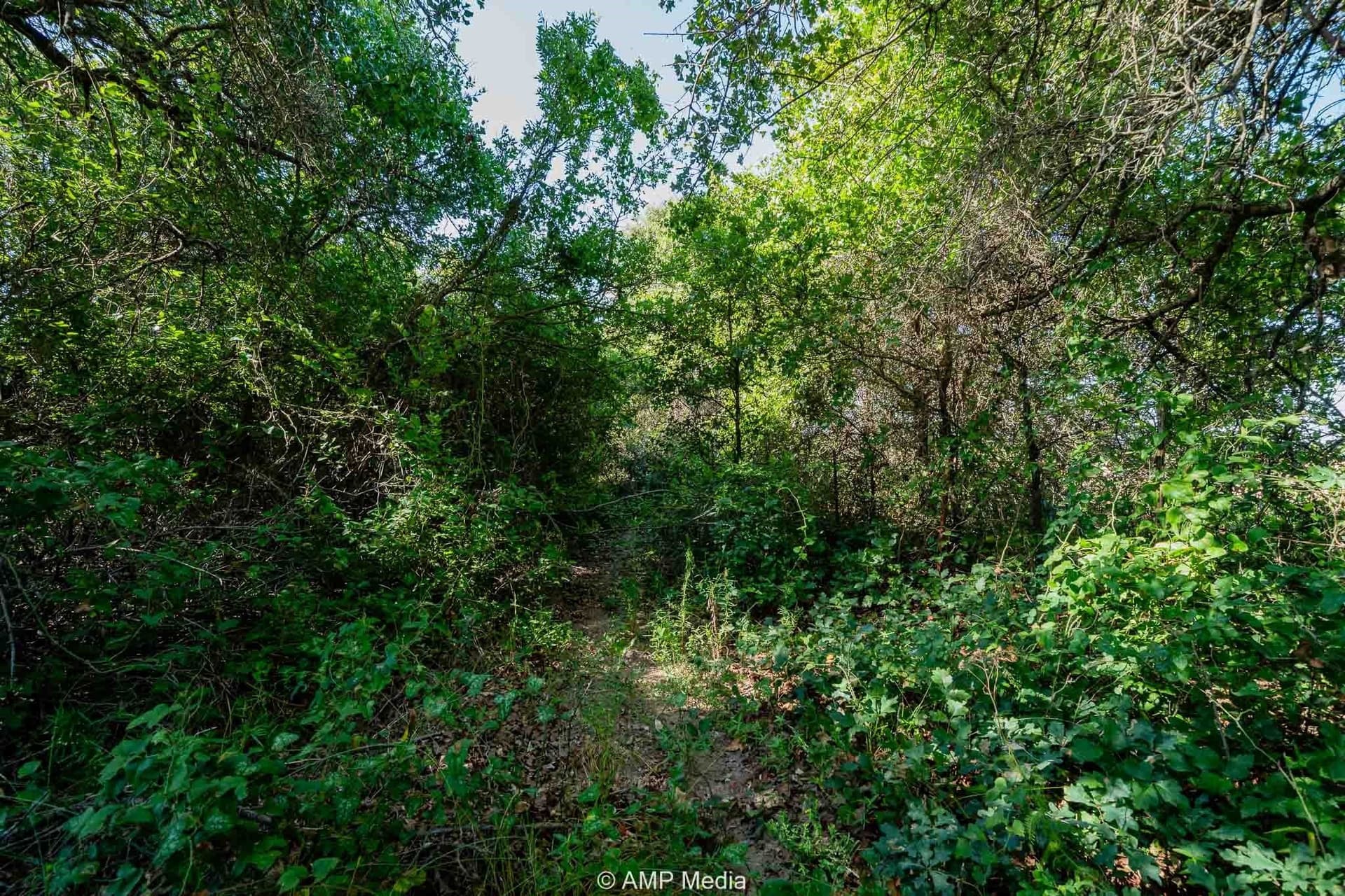 42 acres in Eastland County - photo 9