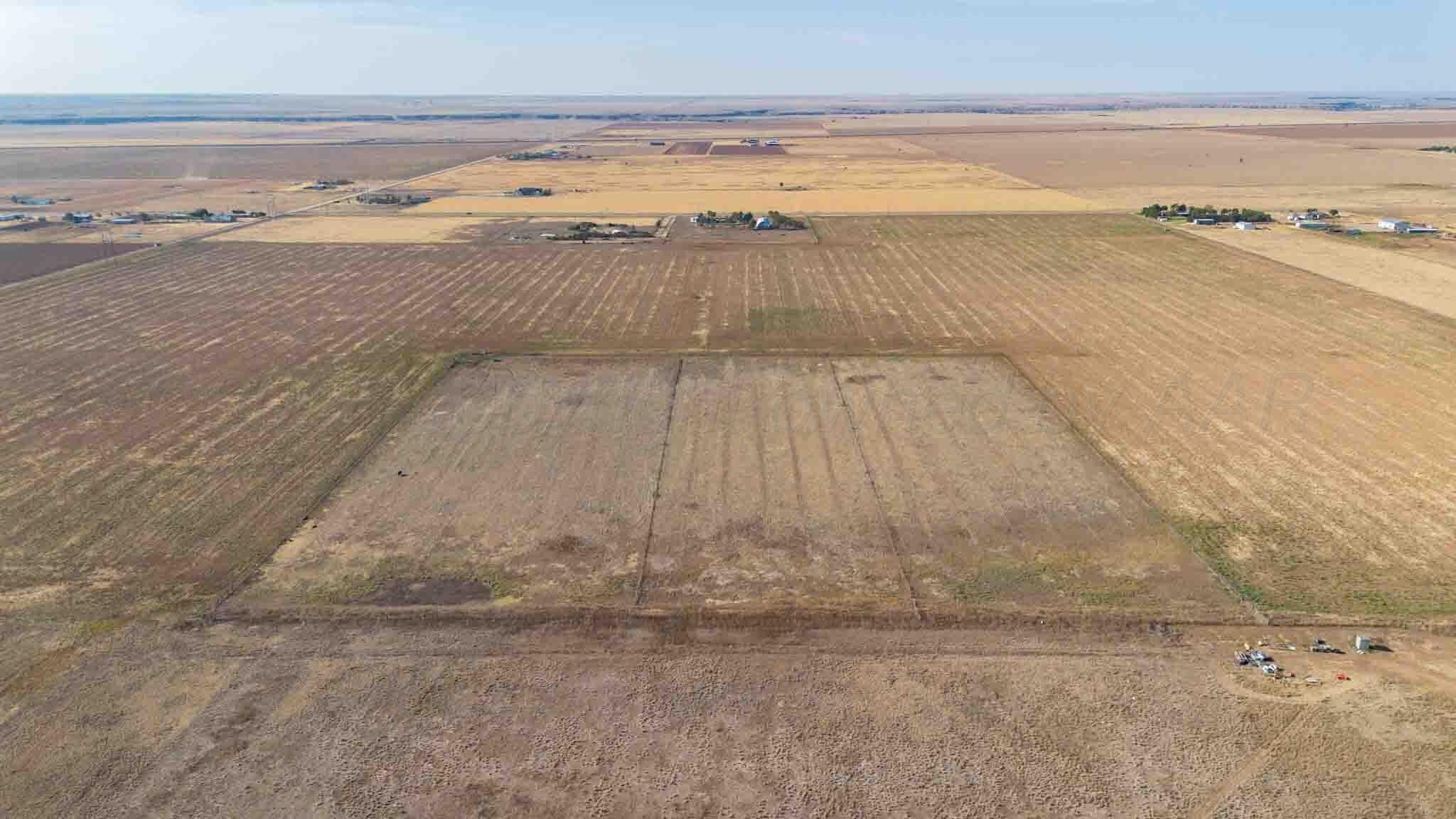 146 acres in Randall County - photo 5