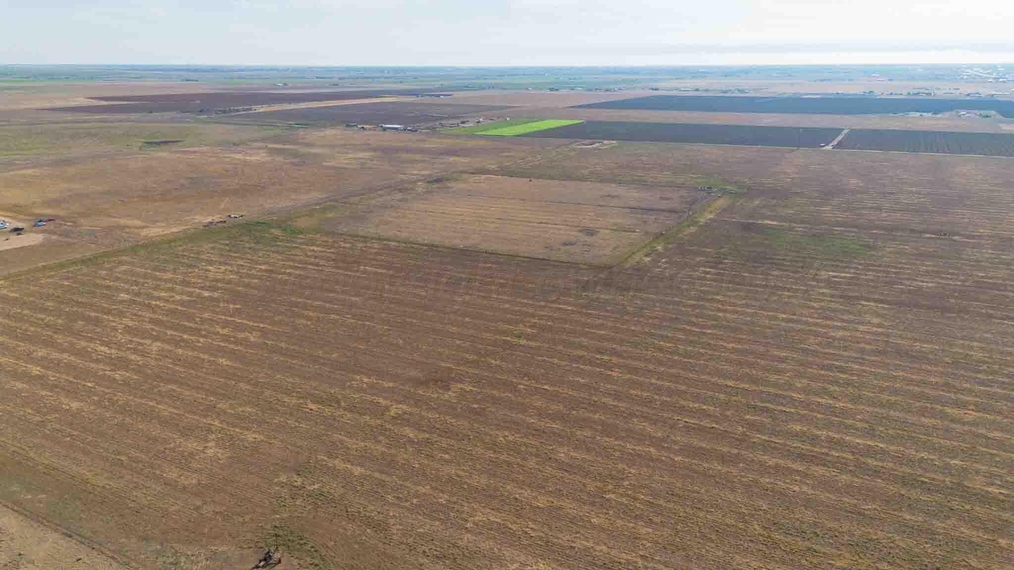 146 acres in Randall County - photo 7