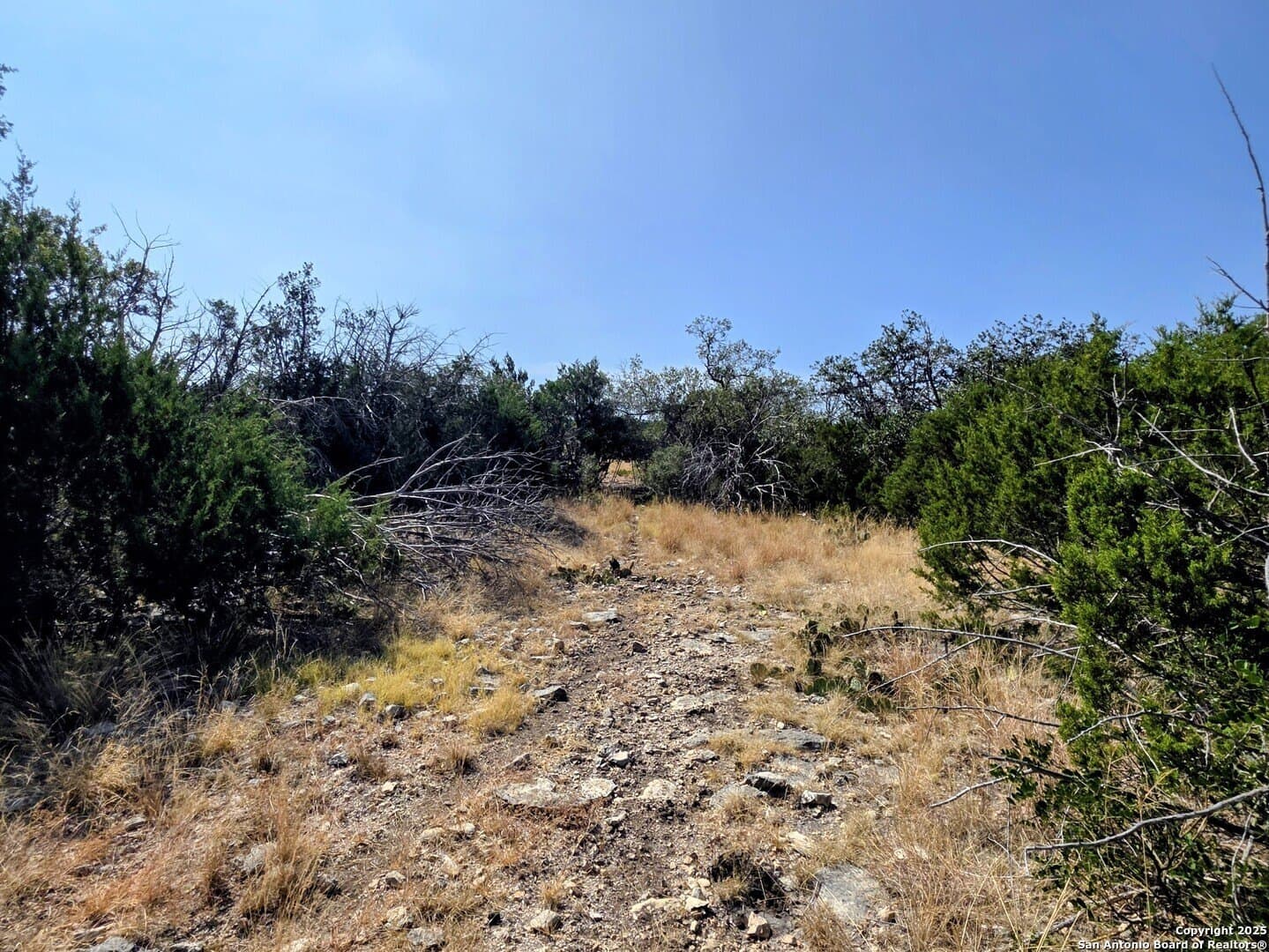 72.54 acres in Edwards County gallery image 4