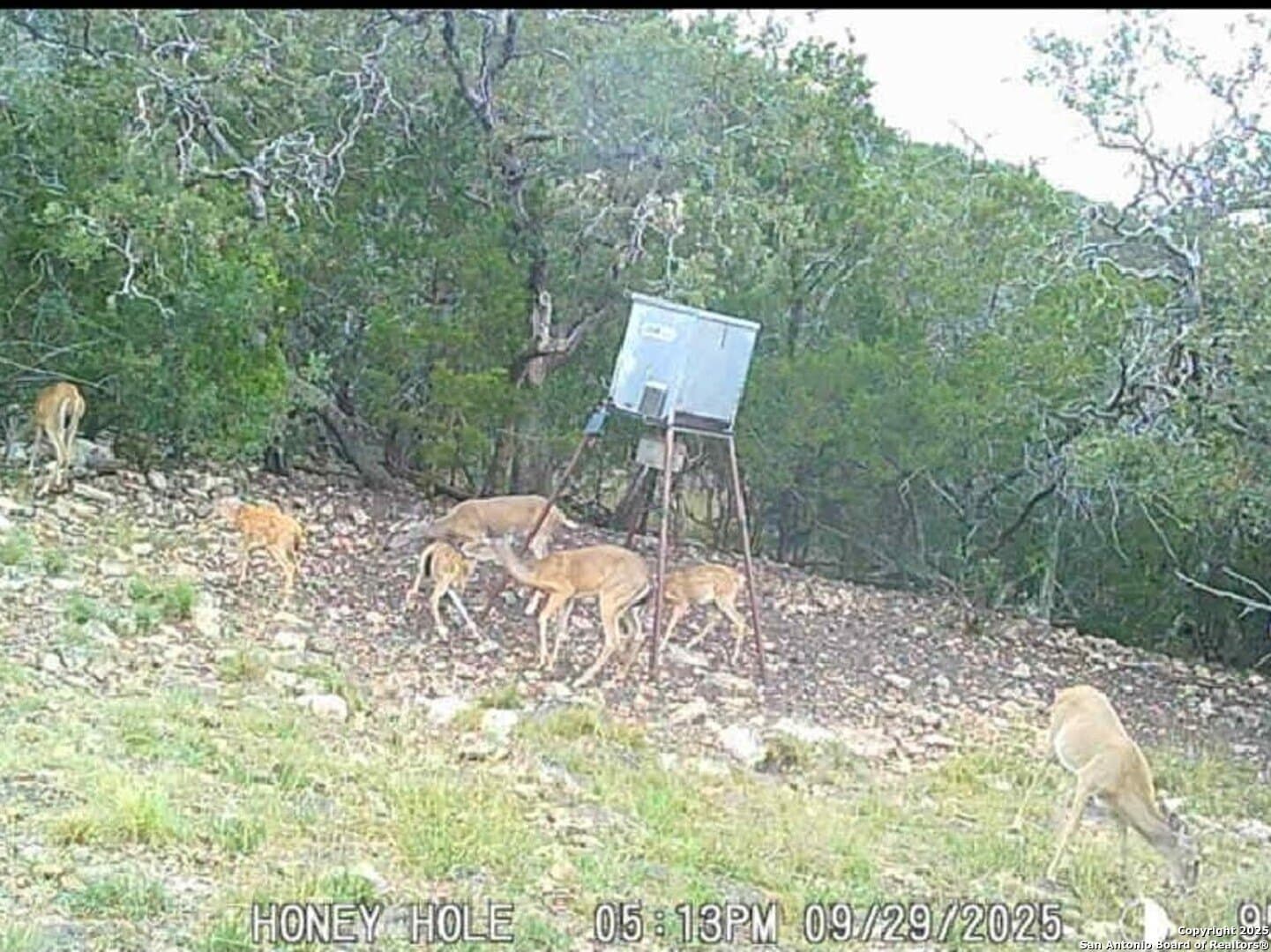 72.54 acres in Edwards County gallery image 2