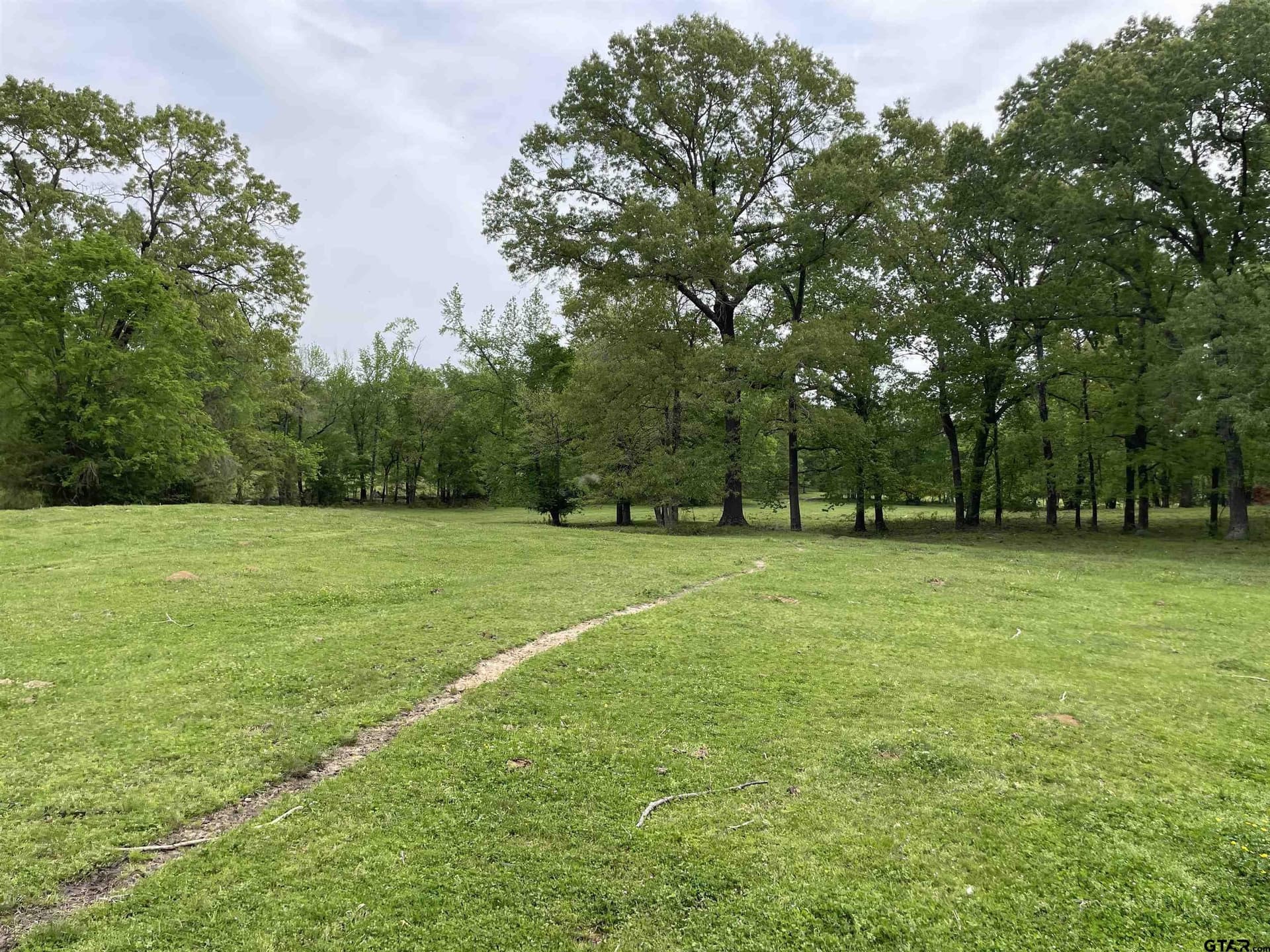 136 acres in Titus County - photo 40