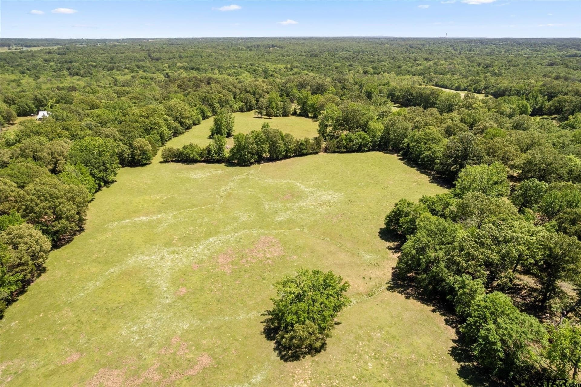 136 acres in Titus County - photo 29