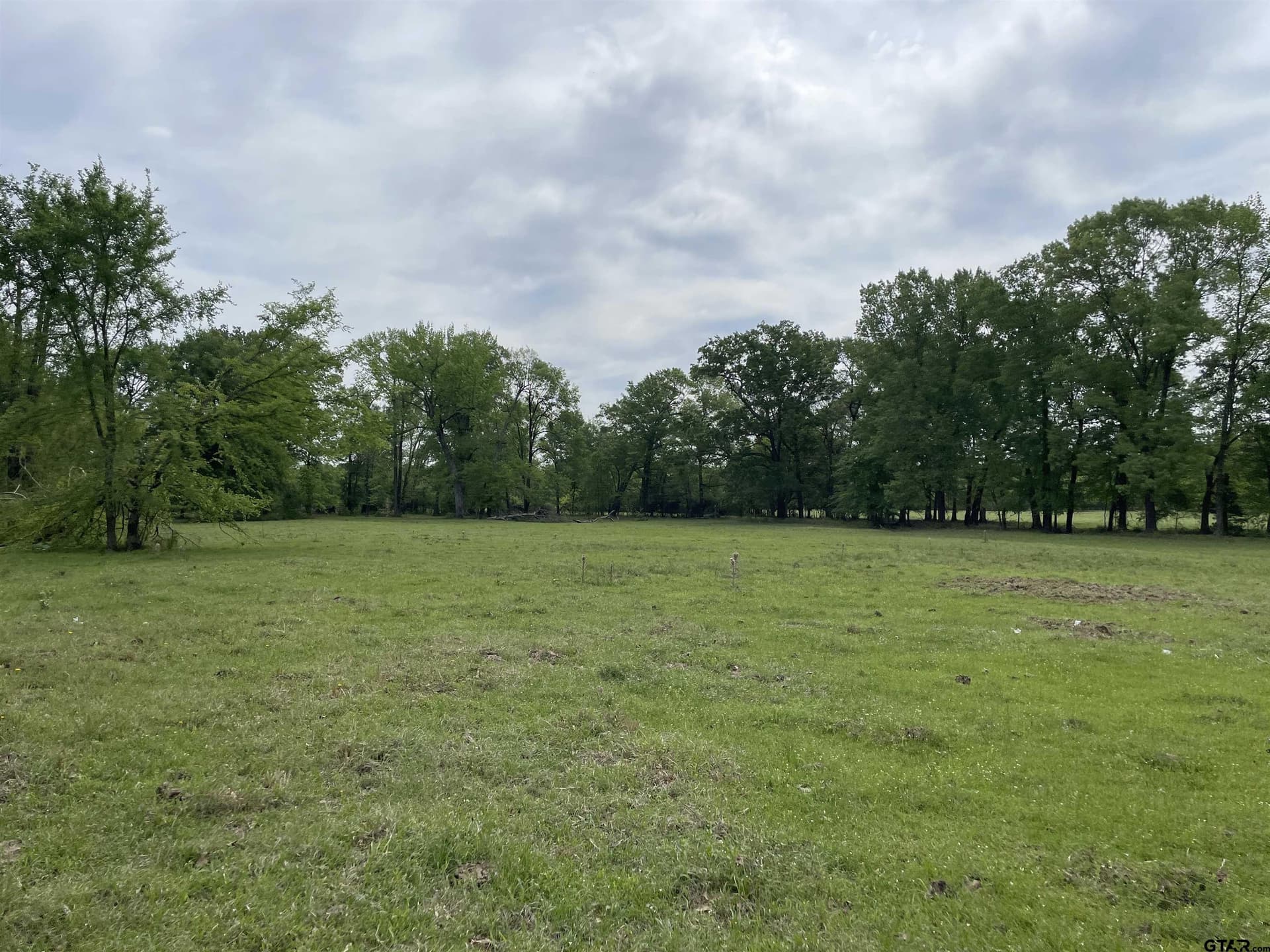 136 acres in Titus County - photo 37