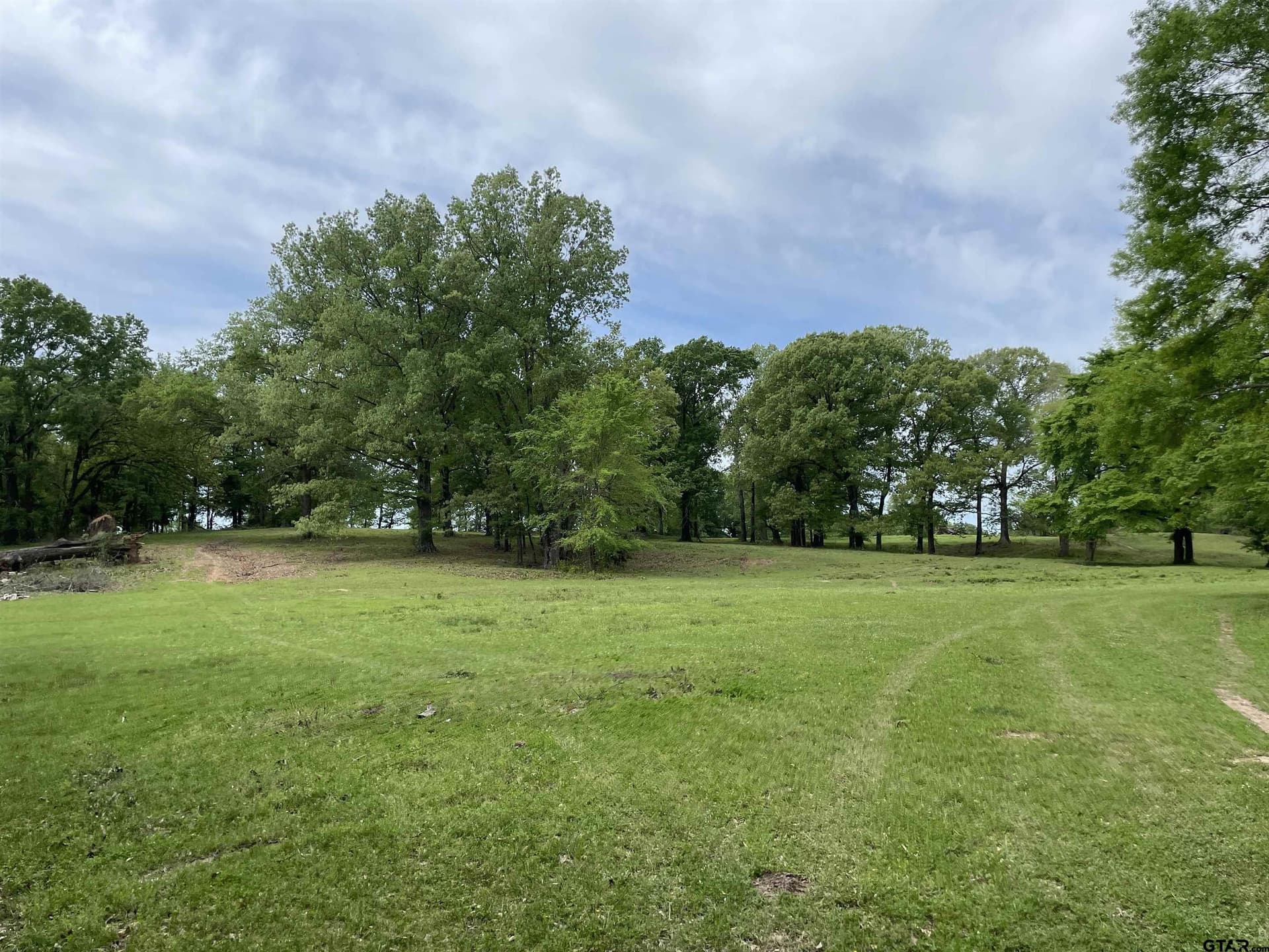 136 acres in Titus County - photo 39