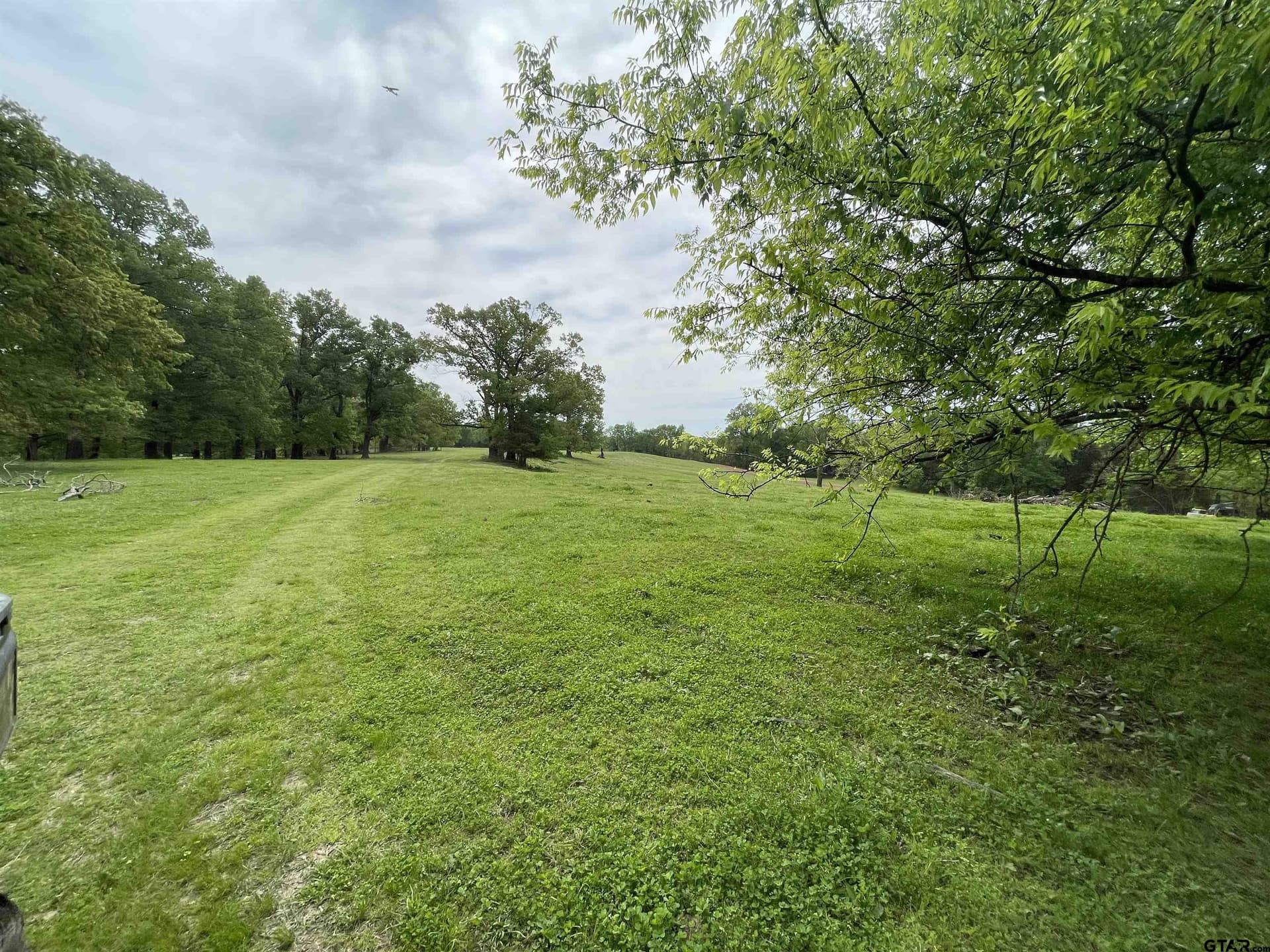 136 acres in Titus County - photo 41