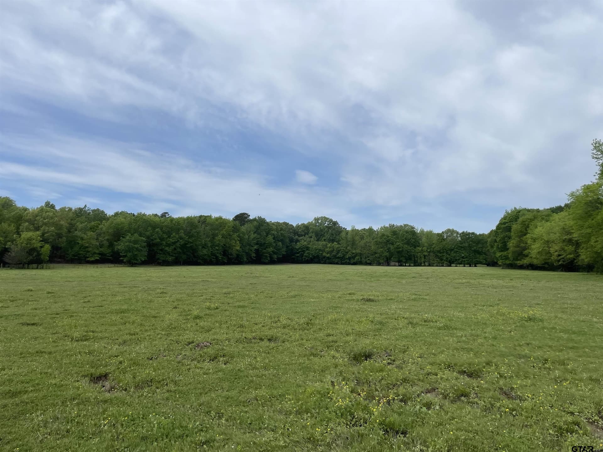 136 acres in Titus County - photo 38