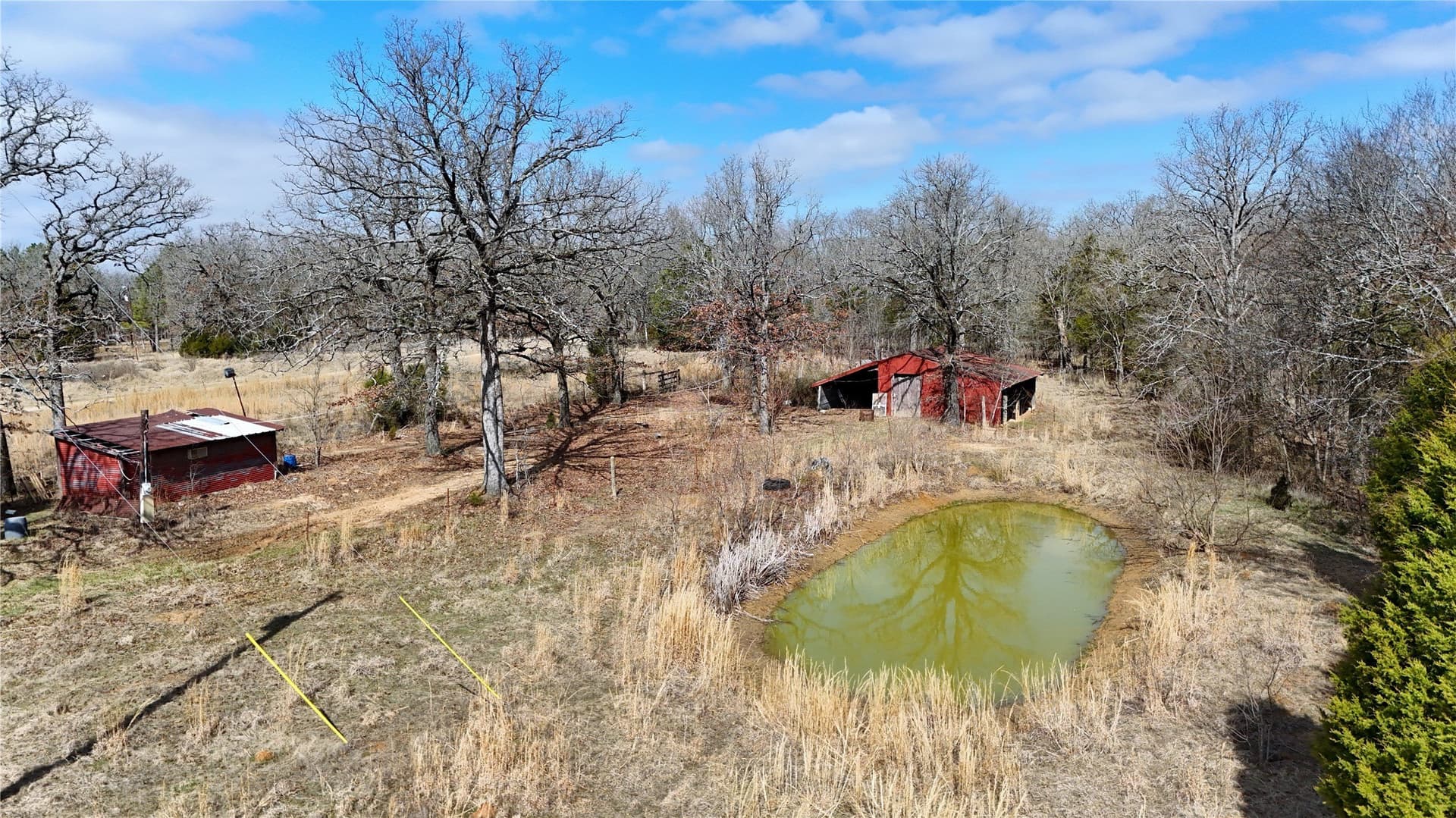 10 acres in Henderson County gallery image 3