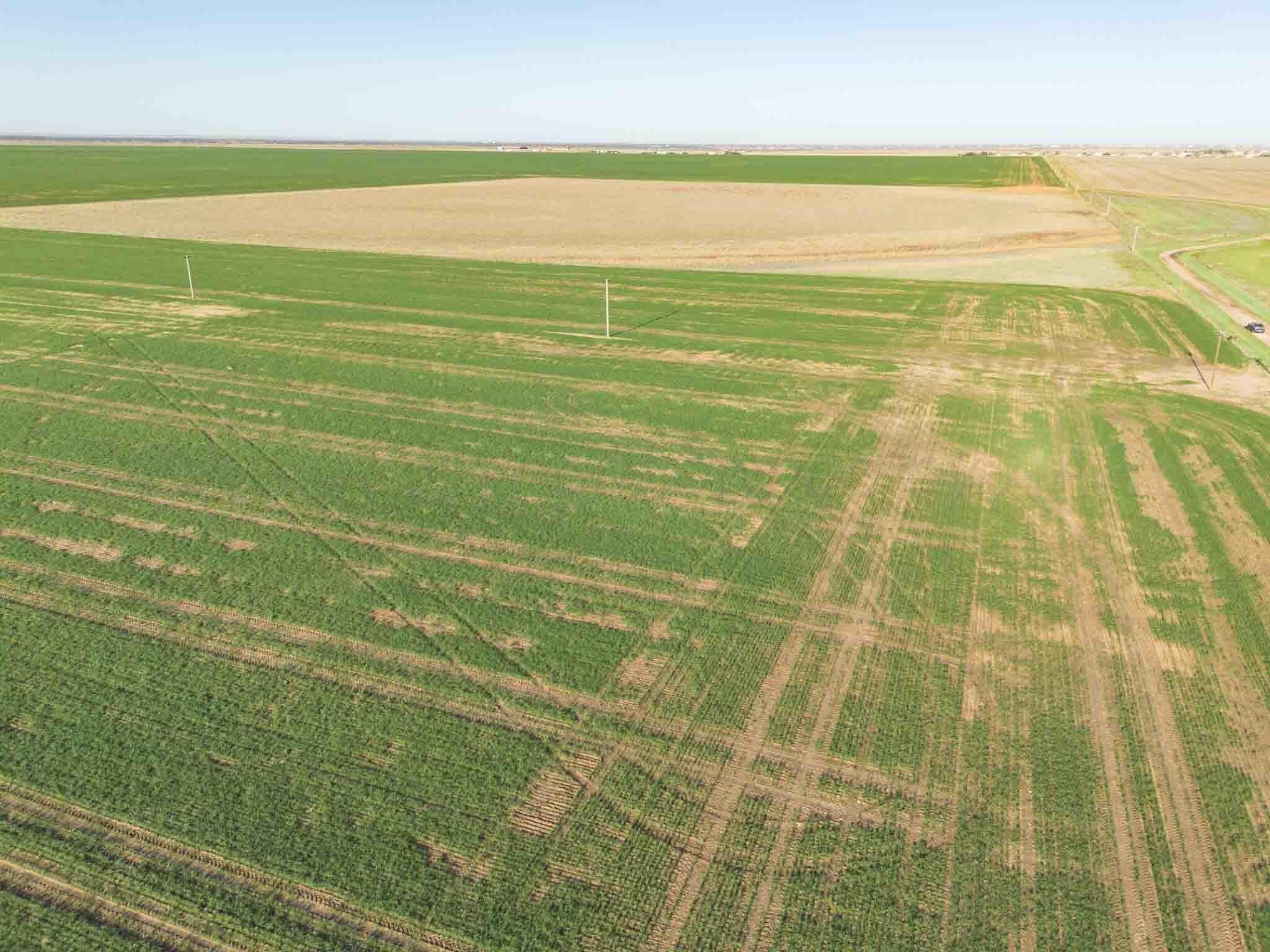 112 acres in Randall County featured view