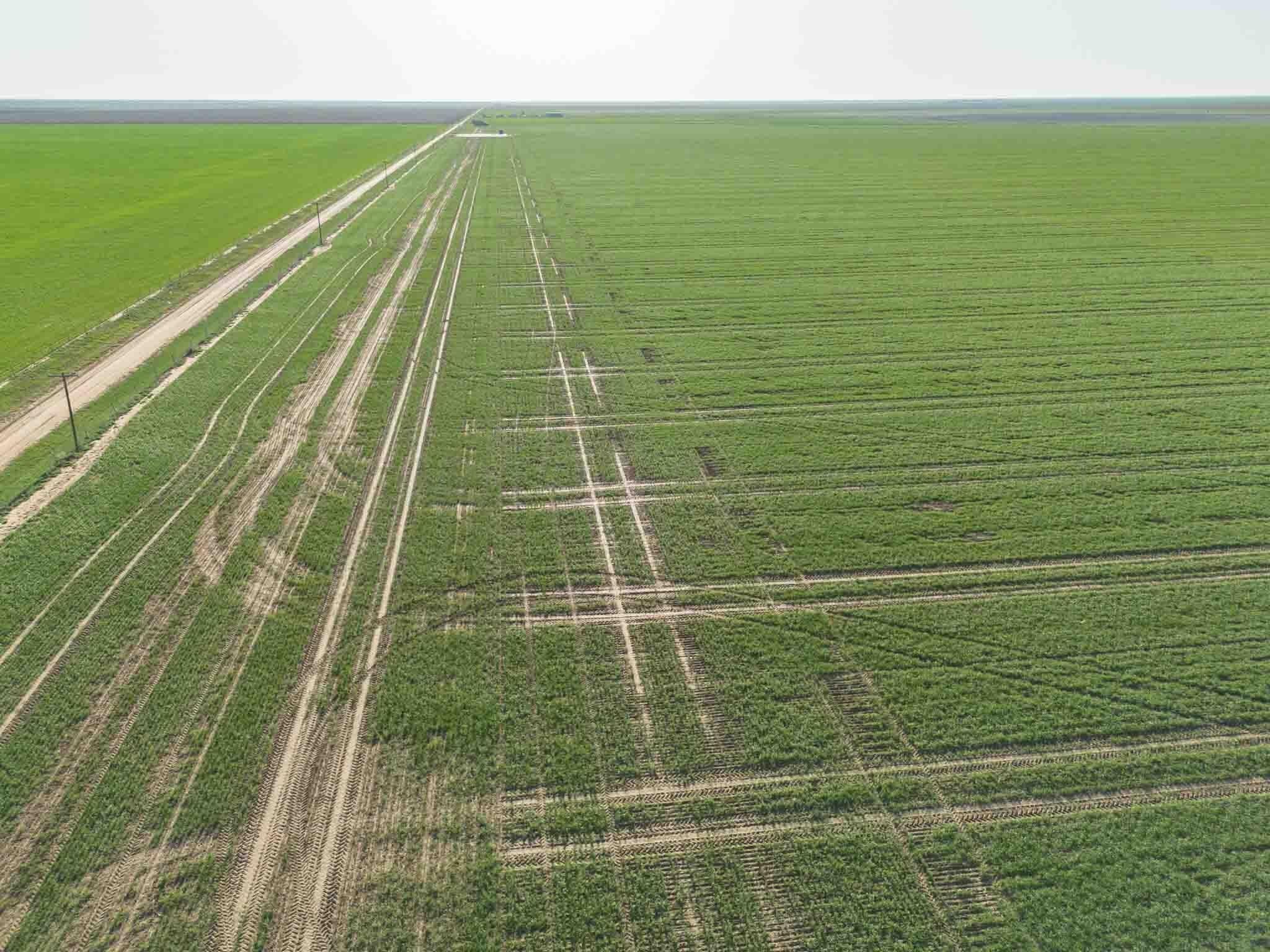 112 acres in Randall County gallery image 4