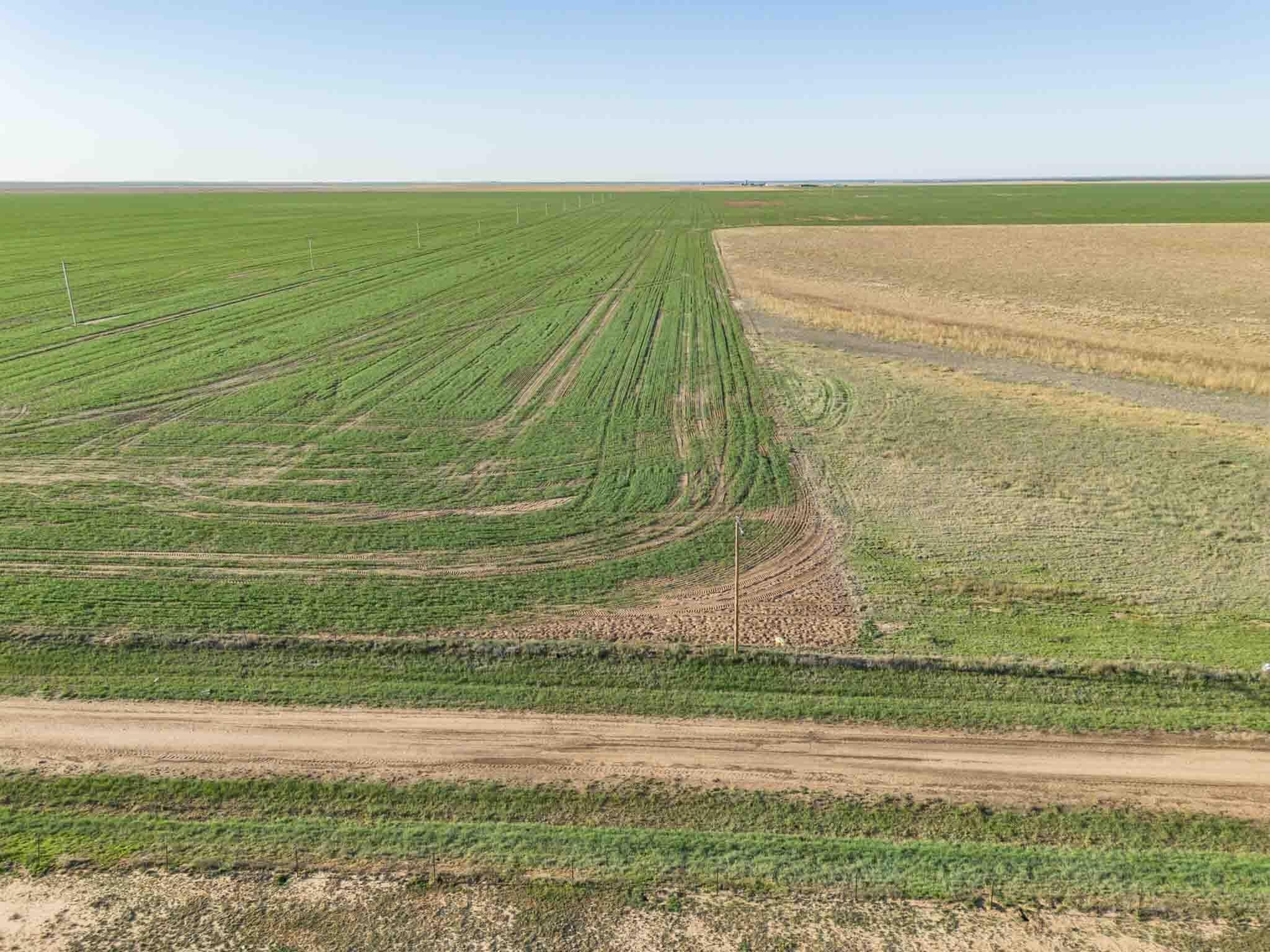 112 acres in Randall County gallery image 3