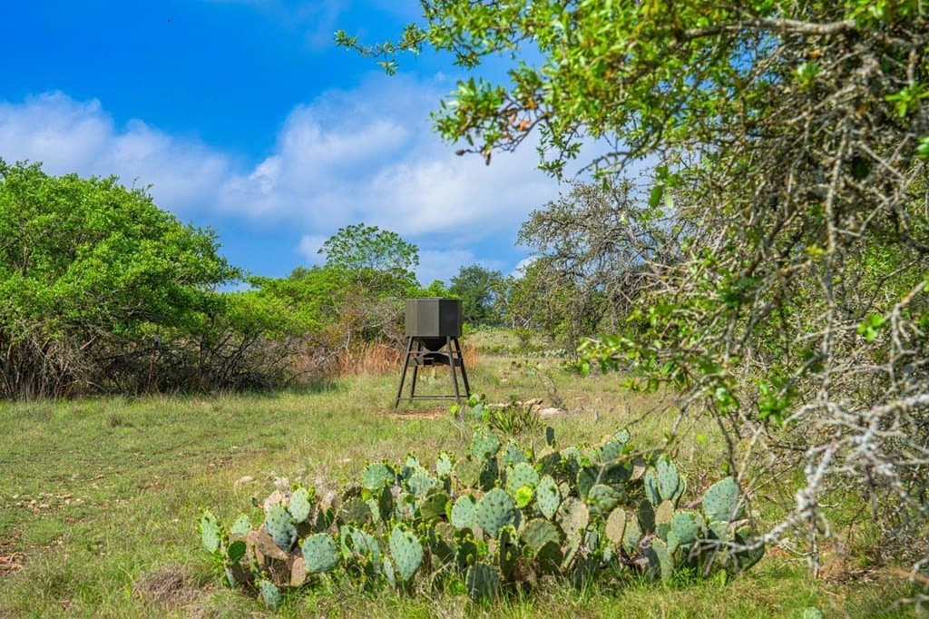 91.17 acres in Gillespie County - photo 38
