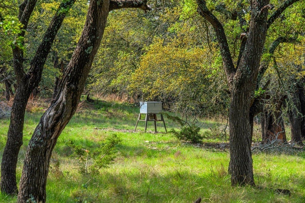 91.17 acres in Gillespie County - photo 23