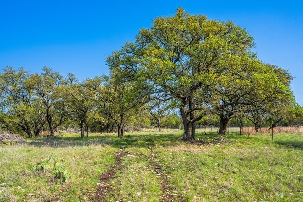 91.17 acres in Gillespie County - photo 30