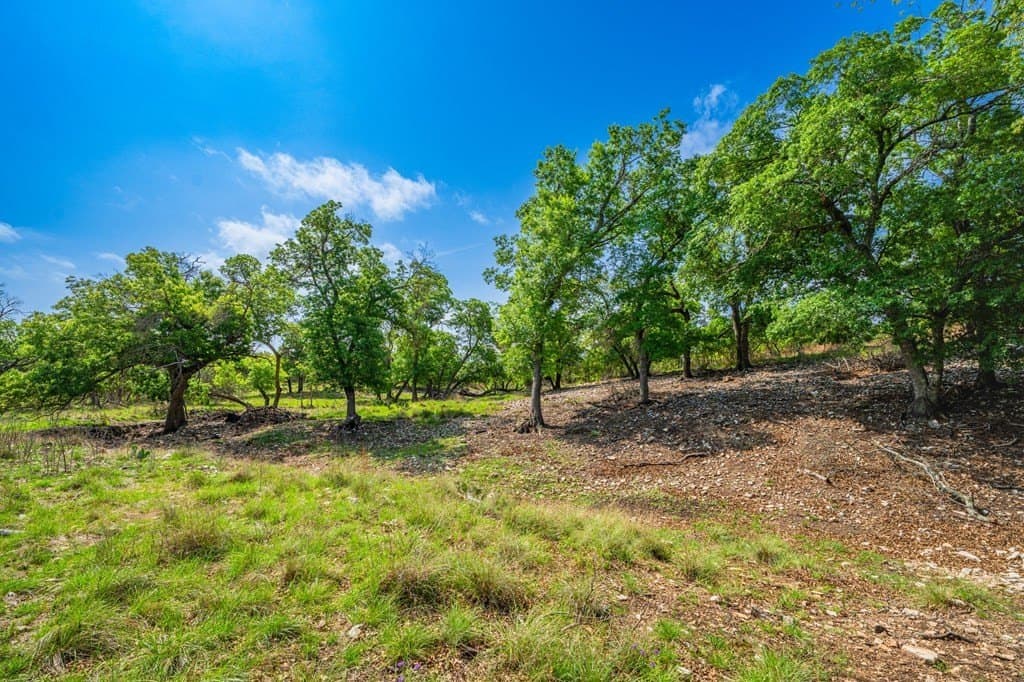 91.17 acres in Gillespie County - photo 37