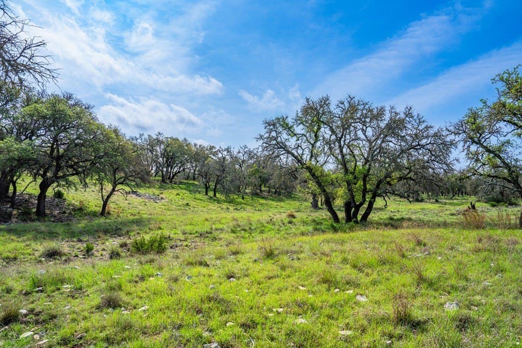 91.17 acres in Gillespie County - photo 31