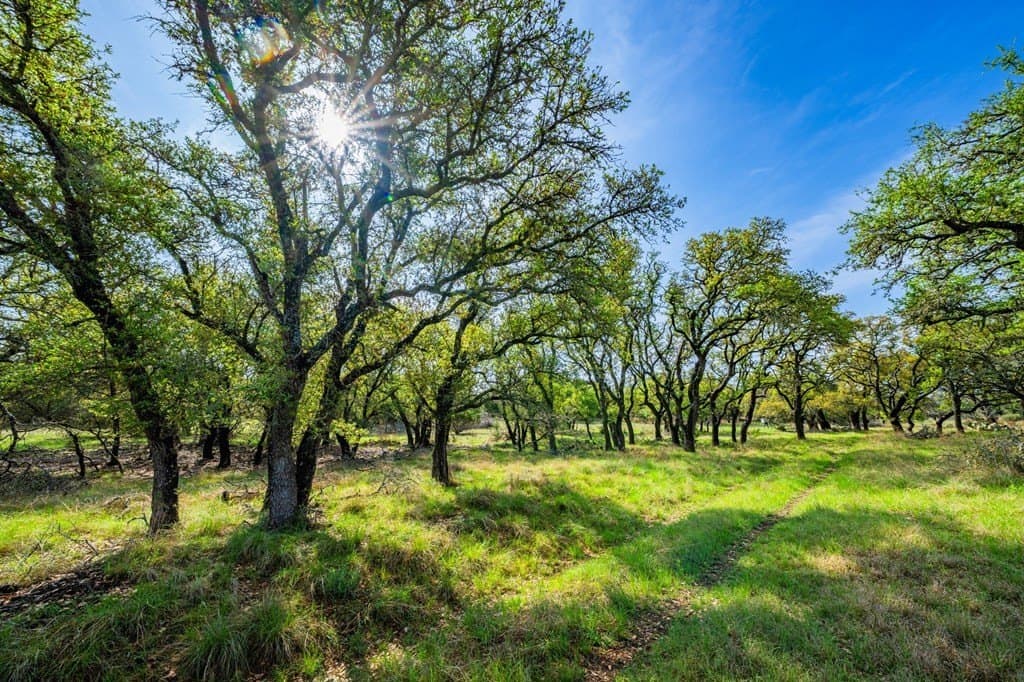 91.17 acres in Gillespie County - photo 24