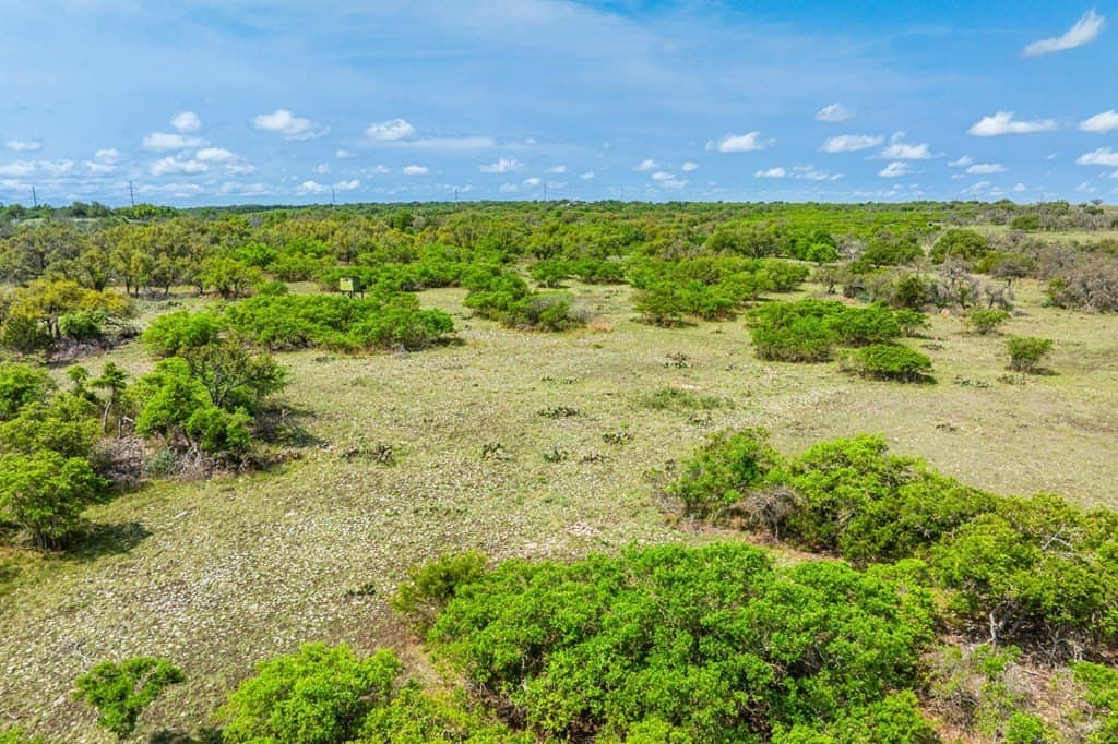 91.17 acres in Gillespie County - photo 27