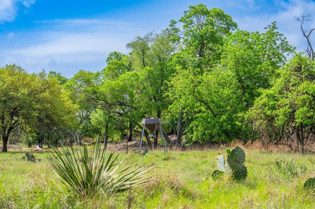91.17 acres in Gillespie County - photo 35