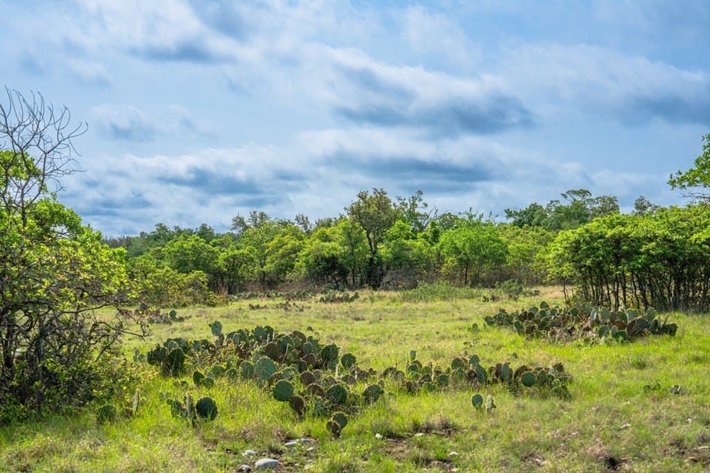 91.17 acres in Gillespie County - photo 39