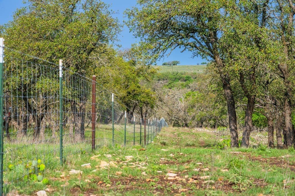 91.17 acres in Gillespie County - photo 29