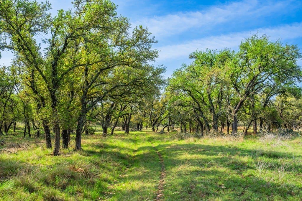 91.17 acres in Gillespie County - photo 25