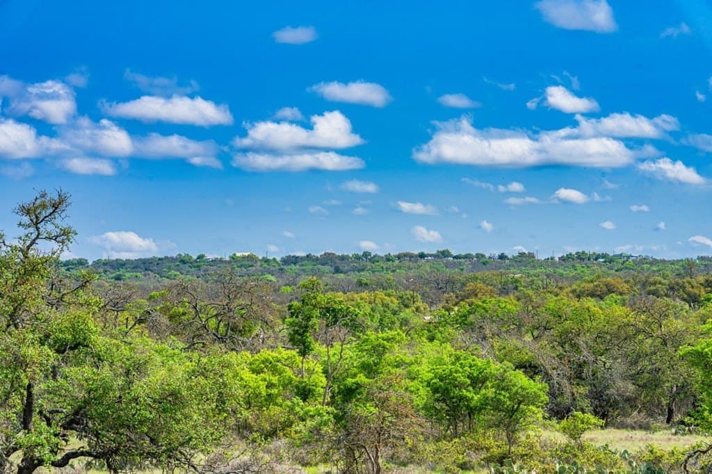 91.17 acres in Gillespie County - photo 32