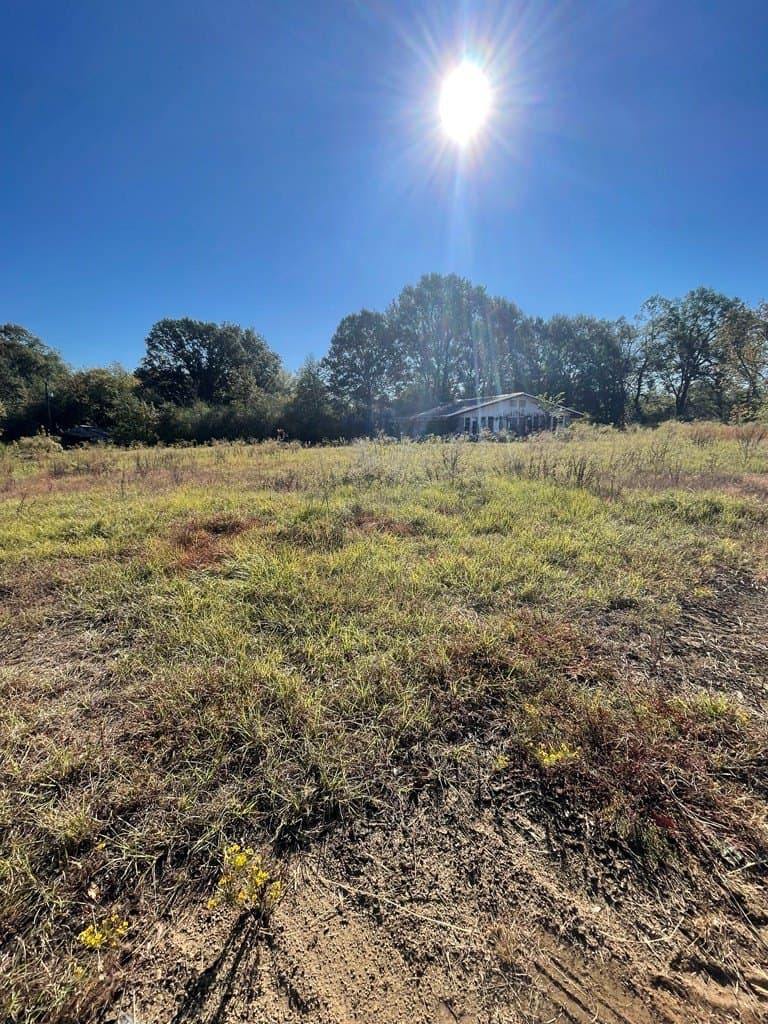 17.55 acres in Texas County gallery image 4