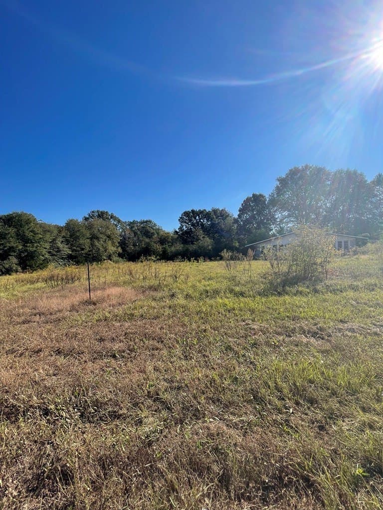 17.55 acres in Texas County featured view