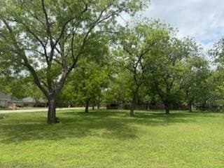 0.36 acres in Hood County gallery image 2