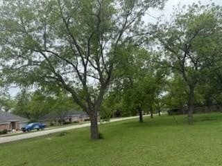 0.36 acres in Hood County gallery image 4