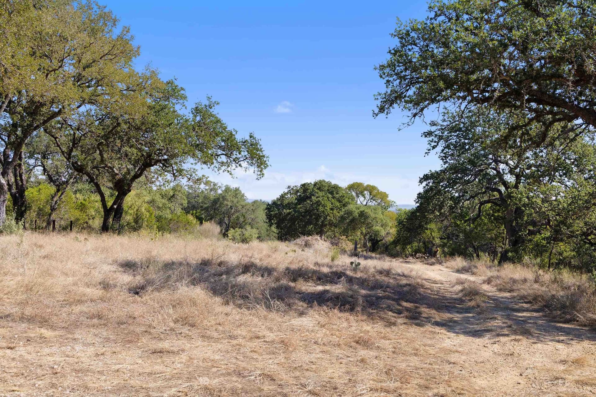 103.11 acres in Burnet County - photo 13