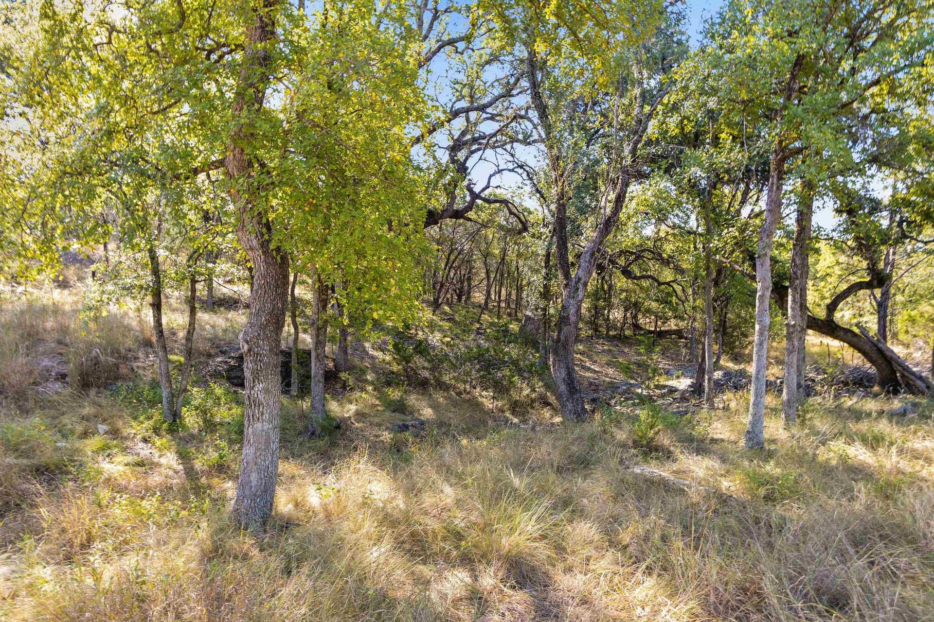 103.11 acres in Burnet County - photo 7