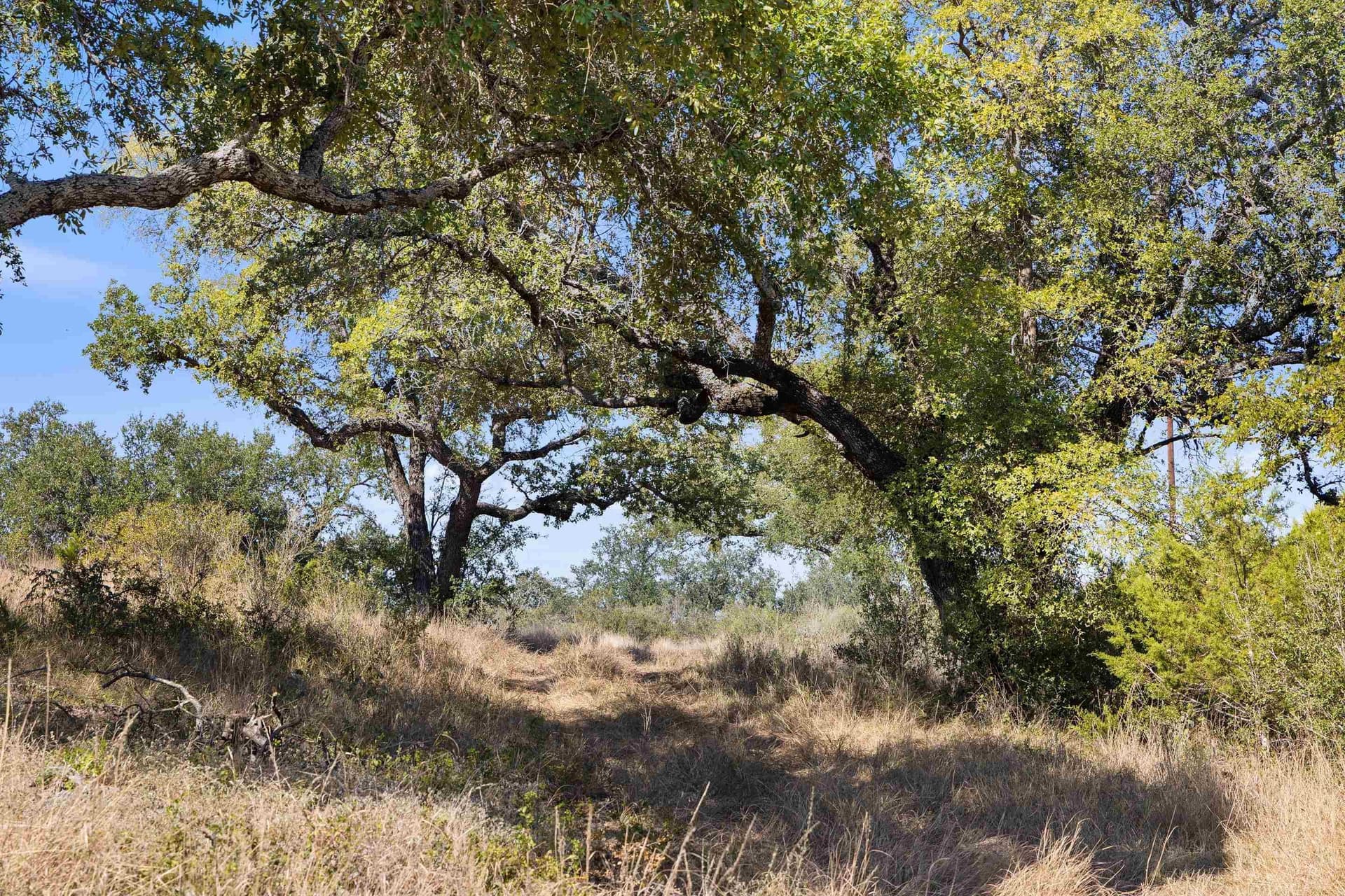 103.11 acres in Burnet County - photo 10