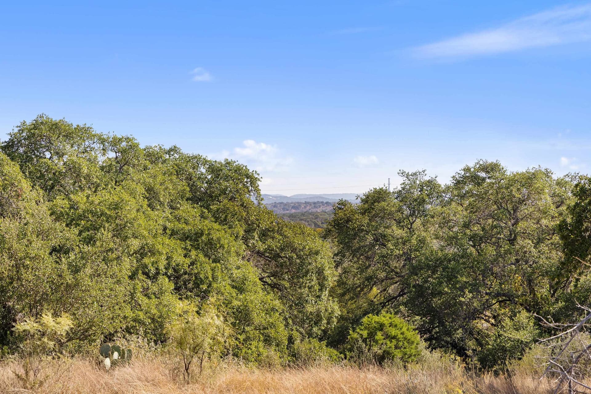 103.11 acres in Burnet County - photo 8