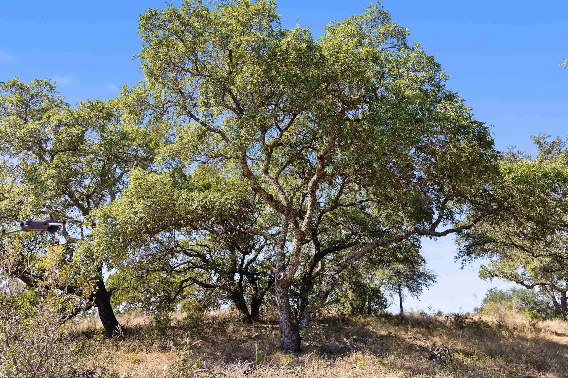103.11 acres in Burnet County - photo 12
