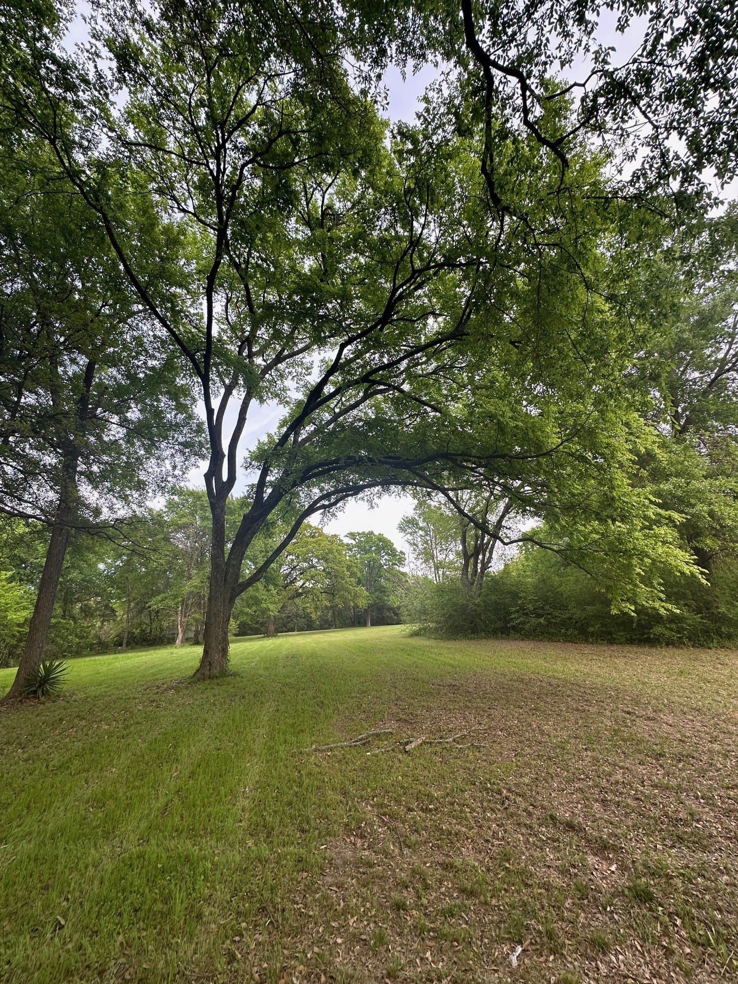 3.15 acres in Henderson County - photo 6
