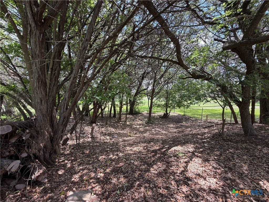 0.28 acres in Comal County - photo 17