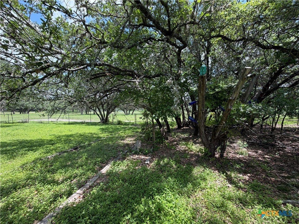 0.28 acres in Comal County - photo 16
