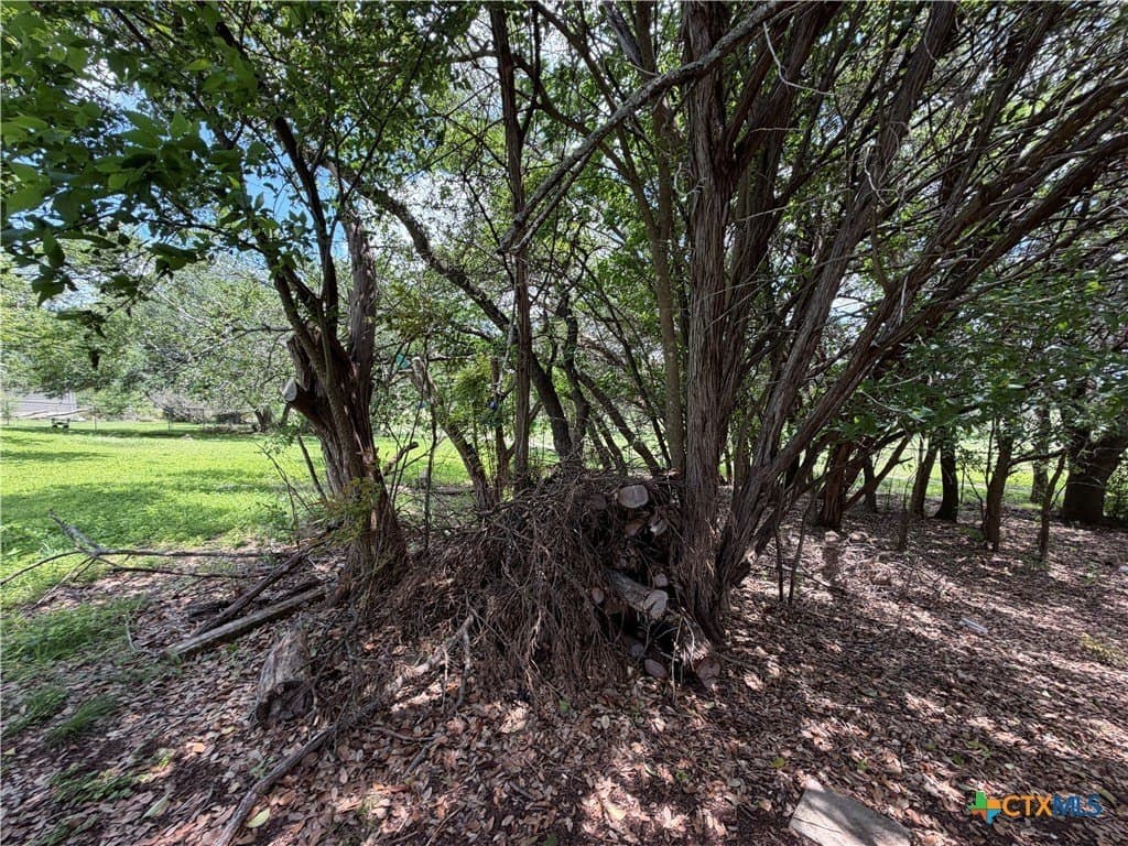 0.28 acres in Comal County - photo 18