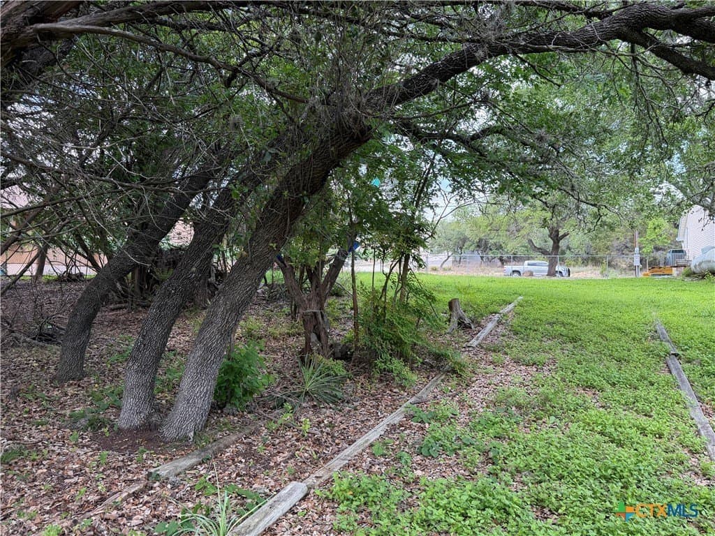 0.28 acres in Comal County - photo 10