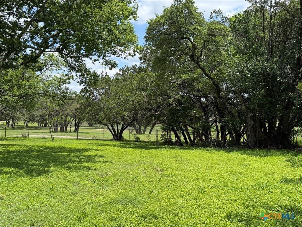 0.28 acres in Comal County gallery image 2
