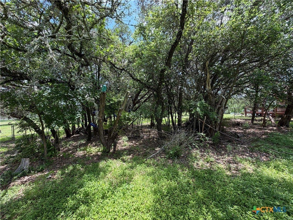 0.28 acres in Comal County - photo 15