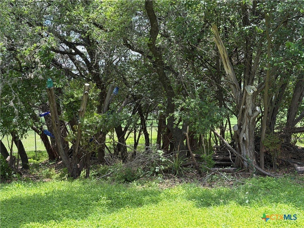 0.28 acres in Comal County - photo 6