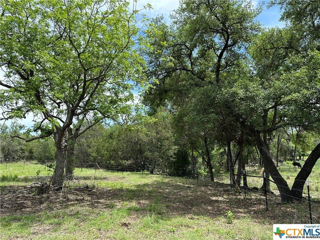 12 acres in Burnet County gallery image 2